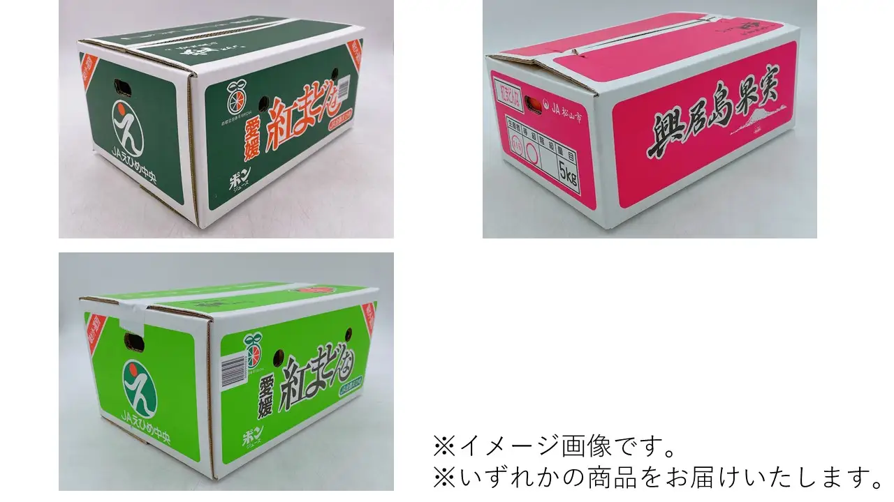 【2026年11月中旬頃から順次発送】【紅まどんな】 M ~4L 5kg [ご家庭用] まどんな【FA0403】