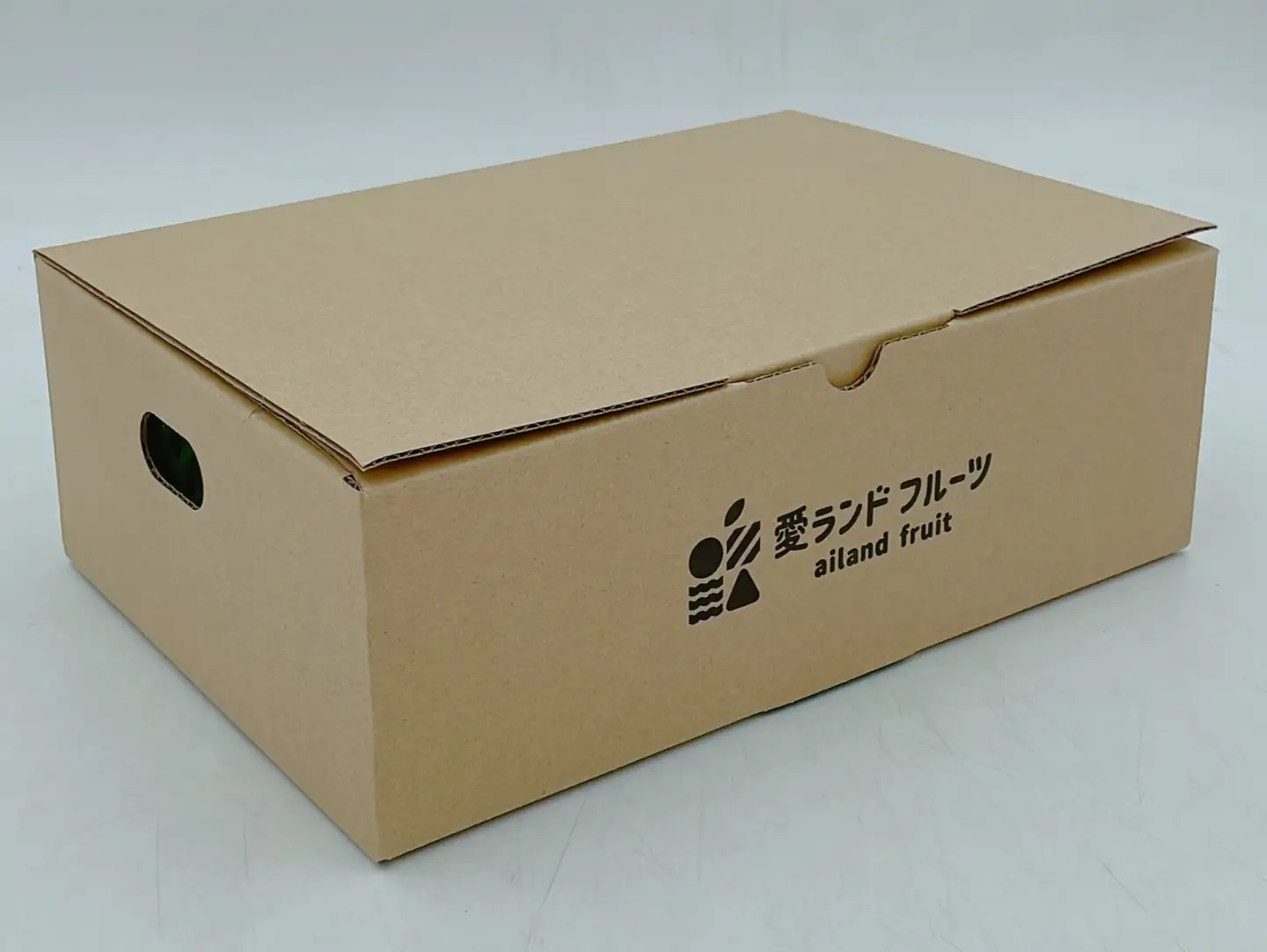 【2026年11月上旬頃から順次発送】  松山市産 アボカド 1.5kg （ サラダ 料理 果物 ヘルシー アボガド ダイエット ミネラル 森のバター  栄養 国産 愛媛 松山 ）【FA0522】