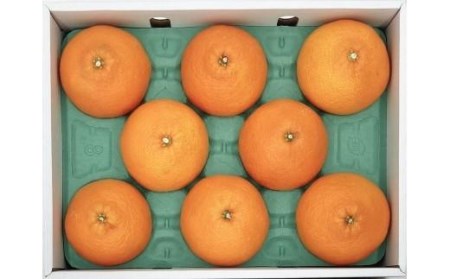  紅まどんな【JAえひめ中央】青秀 3Lから4Lサイズ 大玉 化粧箱 紅まどんな 【FA0583】