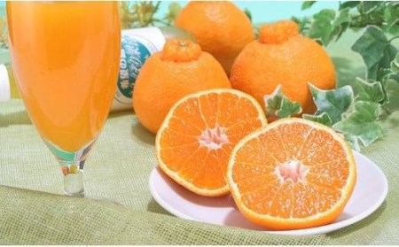 不知火 4kg 12玉 ~ 26玉 ( M ~ 3L ) 特選品 デコポン と同品種 【FT0141】