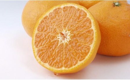 【2027年5月上旬頃から順次発送】カラマンダリン 3kg M~2Lサイズ 約18~28玉 完熟 みかん 愛媛 中島産【FT019_x】
