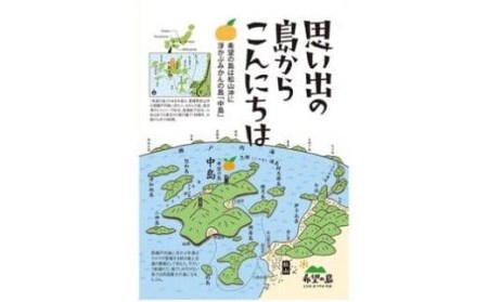 【せとか】【2027年3月上旬頃から順次発送】 ＜L～3L＞ せとか 約3kg 10～15玉 愛媛県松山市 【FT034_x】