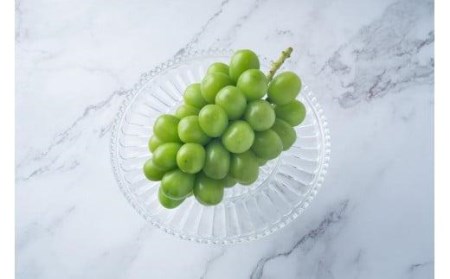 【2026年8月中旬頃から順次発送】シャインマスカット 2房 約 1.1kg  ぶどう ぶどう  ぶどう ぶどう  ぶどう ぶどう  ぶどう ぶどう  ぶどう ぶどう  ぶどう ぶどう  ぶどう ぶどう  ぶどう ぶどう  ぶどう ぶどう 【GL002】