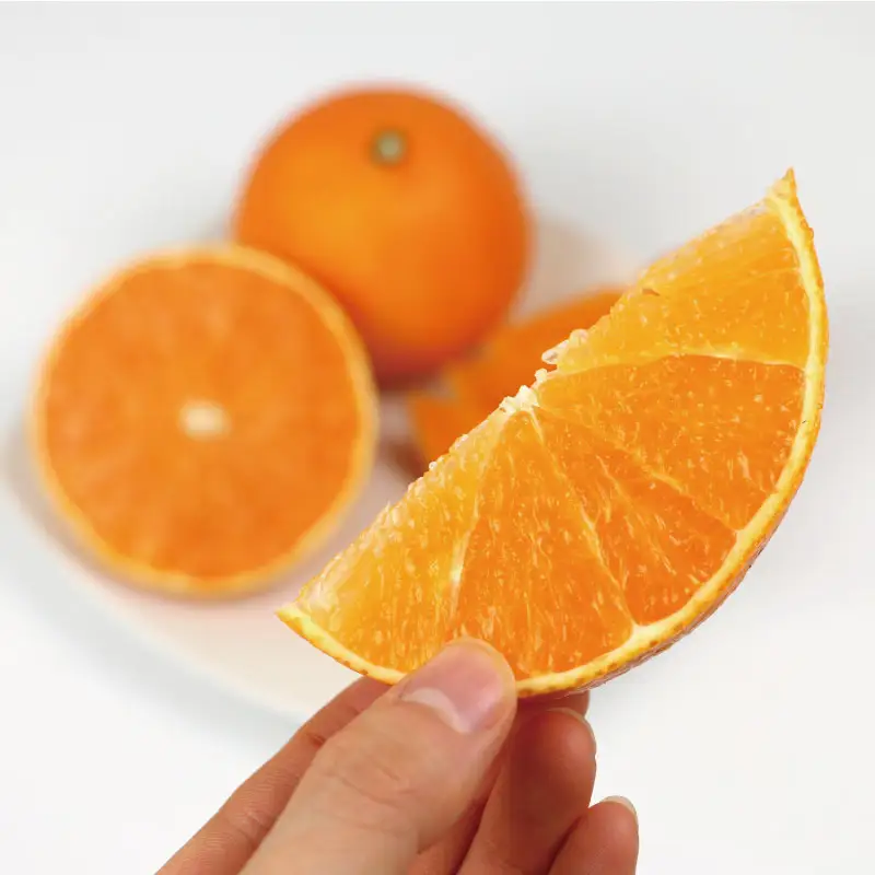 【愛果28号】 【紅まどんな と同品種】 まどんな 3kg 家庭用 姫柑露 南四国ファーム 【B013-035011】