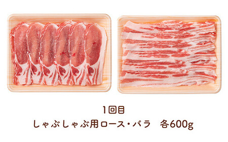 《定期便2回》 山形豚お楽しみ定期便 計2.55kg (しゃぶしゃぶ・生姜焼き・とんかつ用) 山形県産 銘柄豚 認定 ブランド豚 豚肉 ロース バラ 山形県 南陽市 [1840]