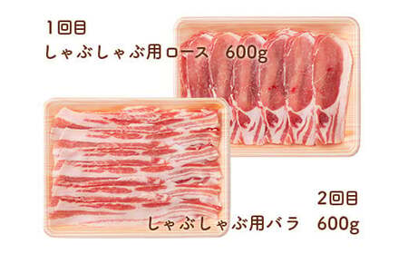 《定期便4回》 山形豚満喫定期便 計2.55kg (しゃぶしゃぶ・生姜焼き・とんかつ用) 山形県産 銘柄豚 認定 ブランド豚 豚肉 ロース バラ 山形県 南陽市 [1841]