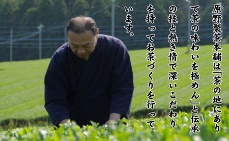 緑茶 八女茶 1kg 250g×4袋　 お茶 飲み物 飲料 普段使い 程よい渋味 苦味 さわやか 爽やかな香り 旨み 煎茶 お茶出し 日本茶 茶葉 お茶っ葉 