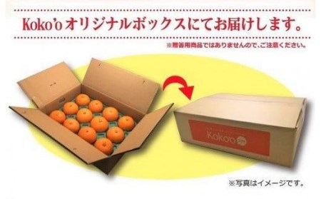 【甘平】【2027年1月中旬頃から順次発送】甘平 家庭用(優品) 約3kg | 愛媛県松山市【KK0141】