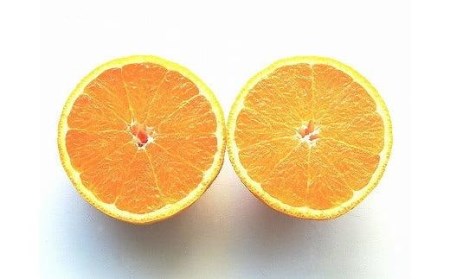 【2027年2月上旬から順次発送】不知火 ＜家庭用・優品＞ 約2.5kg | しらぬい みかんみかんみかんみかんみかん【KK0162】
