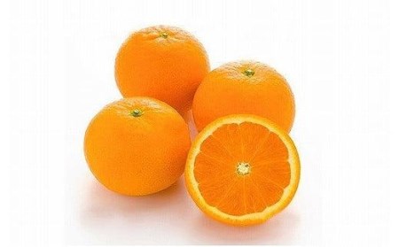 【2027年3月中旬頃から順次発送】きよみ 家庭用(優品) 約2.5kg みかん 松山市 愛媛県 【KK0232】