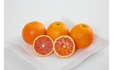 【2027年3月中旬頃から順次発送】ブラッドオレンジ 家庭用(優品) 約3kg【KK0261】