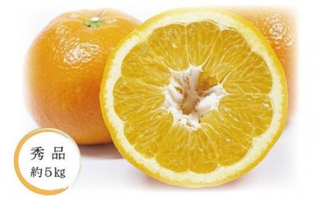 【2027年1月中旬頃から順次発送】いよかん＜秀品＞約5kg （ 愛媛産 愛媛県産 国産 愛媛みかん 愛媛蜜柑 愛媛ミカン みかん ミカン mikan 蜜柑 柑橘 フルーツ 果物 くだもの お取り寄せ 産地直送 数量限定 人気 おすすめ 愛媛県 松山市 送料無料 ）【KK0591】