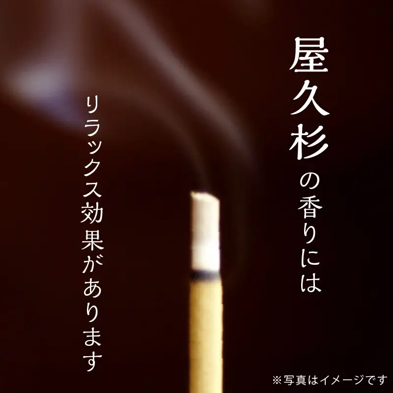 屋久杉 お香 K042-014