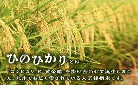 【全6回定期便】ひのひかり 10kg × 6回  糸島市 / 三島商店 [AIM015] 米 白米
