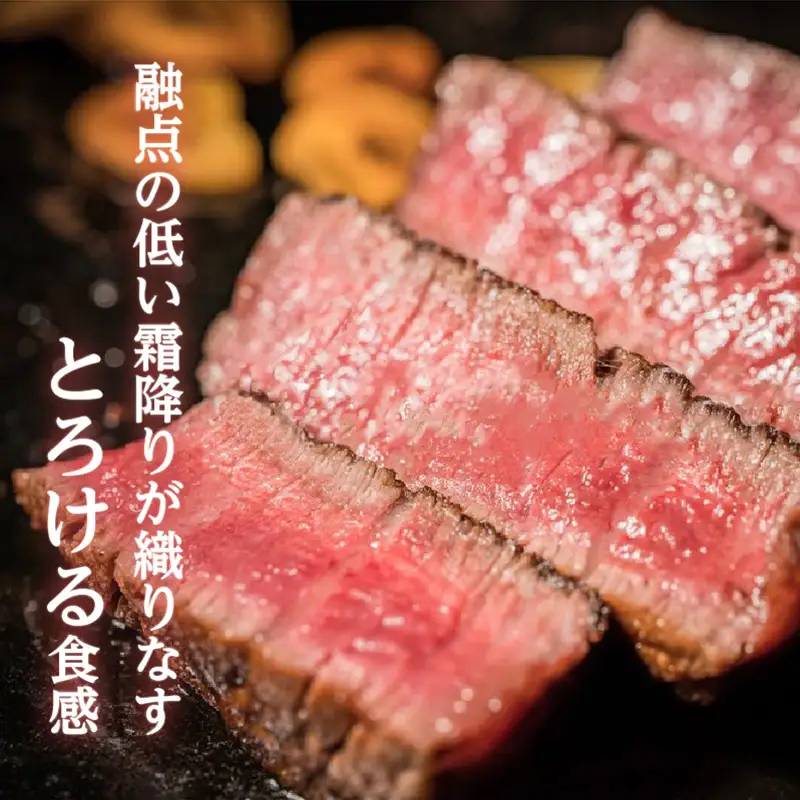 【岩元精肉店】鹿児島県産黒毛和牛A4等級 ヒレステーキ K045-012 肉 牛肉 冷凍