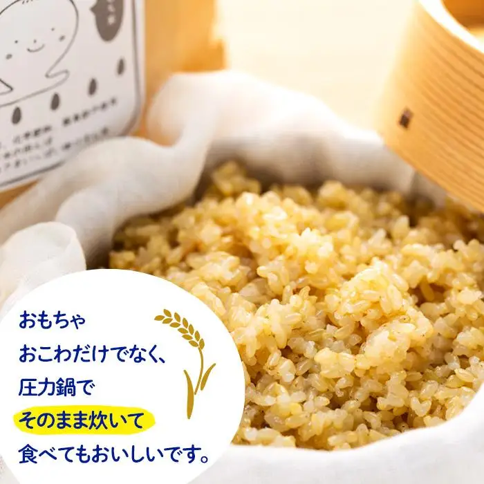 【無農薬・化学肥料不使用】大地の恵みをたっぷり受けた もち米（玄米）5kg