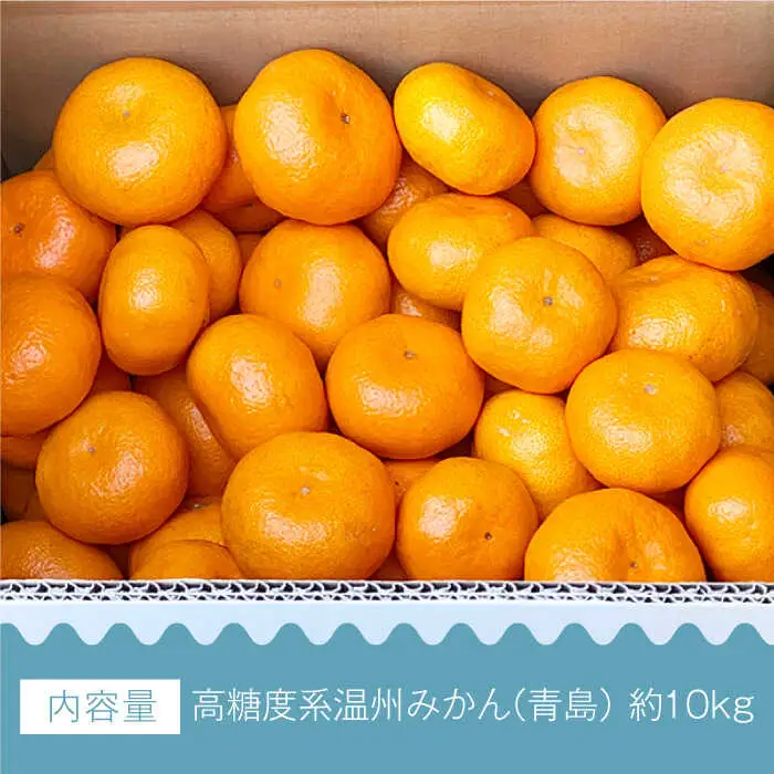 【数量限定】高糖度系 温州みかん(青島) 約10kg[OAF006] ミカン