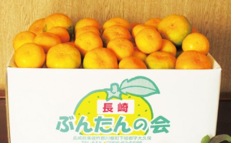 【数量限定】温州高糖度 原口みかん 約5kg[OAF004] ミカン