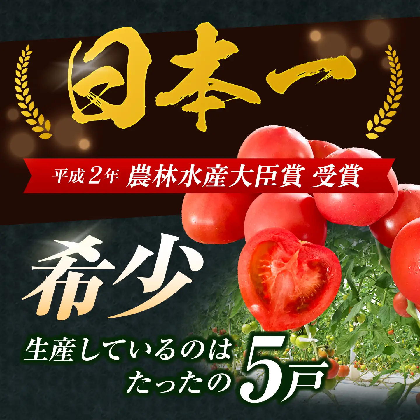 小串トマト 約1.3kg[OAE001] とまと トマト