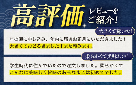 川棚 生なまこ 約1kg [OAI001]  なまこ