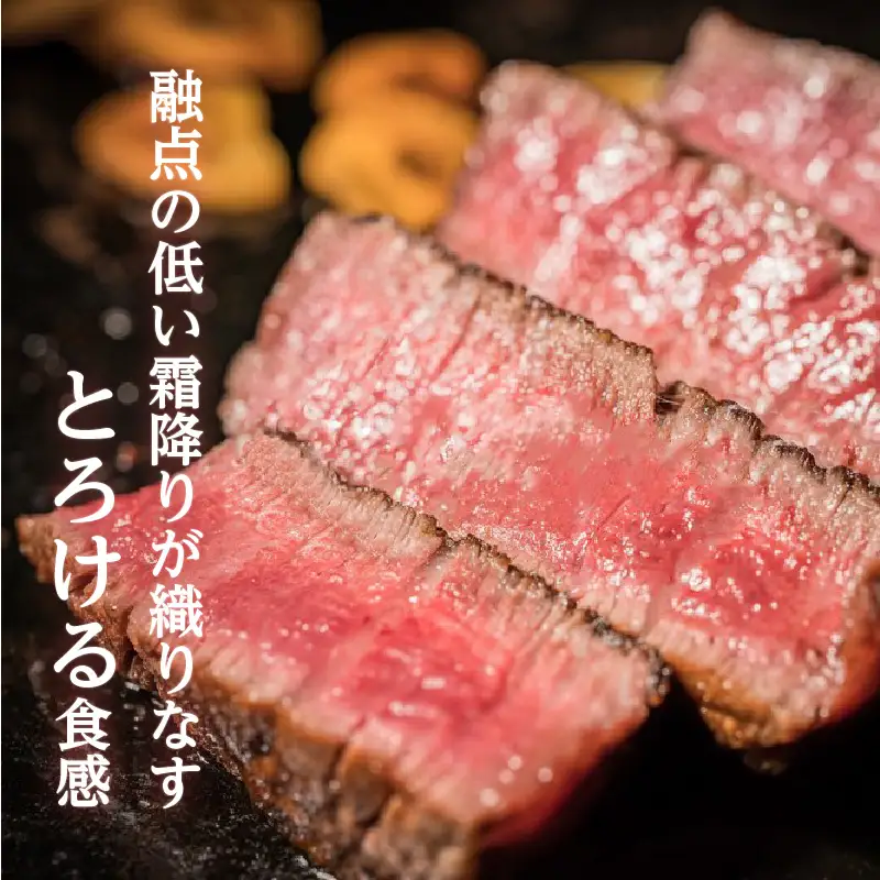 【 岩元精肉店 】 鹿児島県産 黒毛和牛 ヒレ ステーキ 5枚 （ 600g ） 6ヵ月 お届け コース K045-T05 肉 牛肉 冷凍