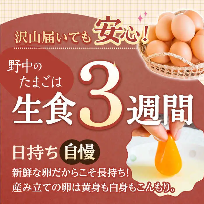 産みたて新鮮たまご 野中のたまご 40個[OAC001] 