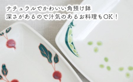【波佐見焼】フレッシュアート 角預け 鉢 2柄セット〈ビーン・ラディッシュ〉 [OAQ049]