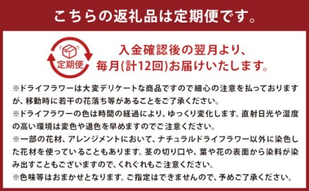 【12ヶ月定期便】ドライフラワーリース Mサイズ