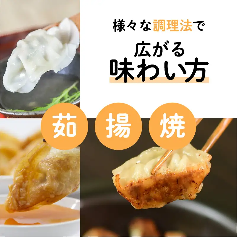 ちゃこばあちゃんの黒豚入りうんまか生餃子 120個入り K027-003 肉 豚肉 惣菜 総菜 冷凍