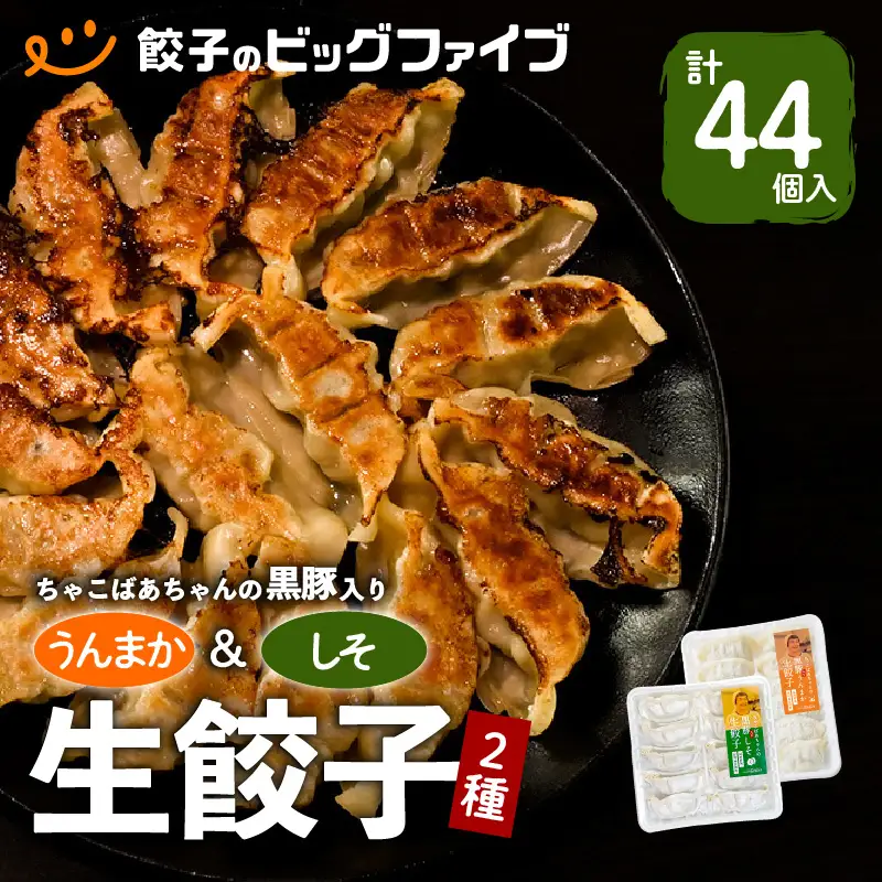 ちゃこばあちゃんの黒豚入りうんまか・しそ生餃子 計44個入り K027-004 肉 豚肉 惣菜 総菜 冷凍