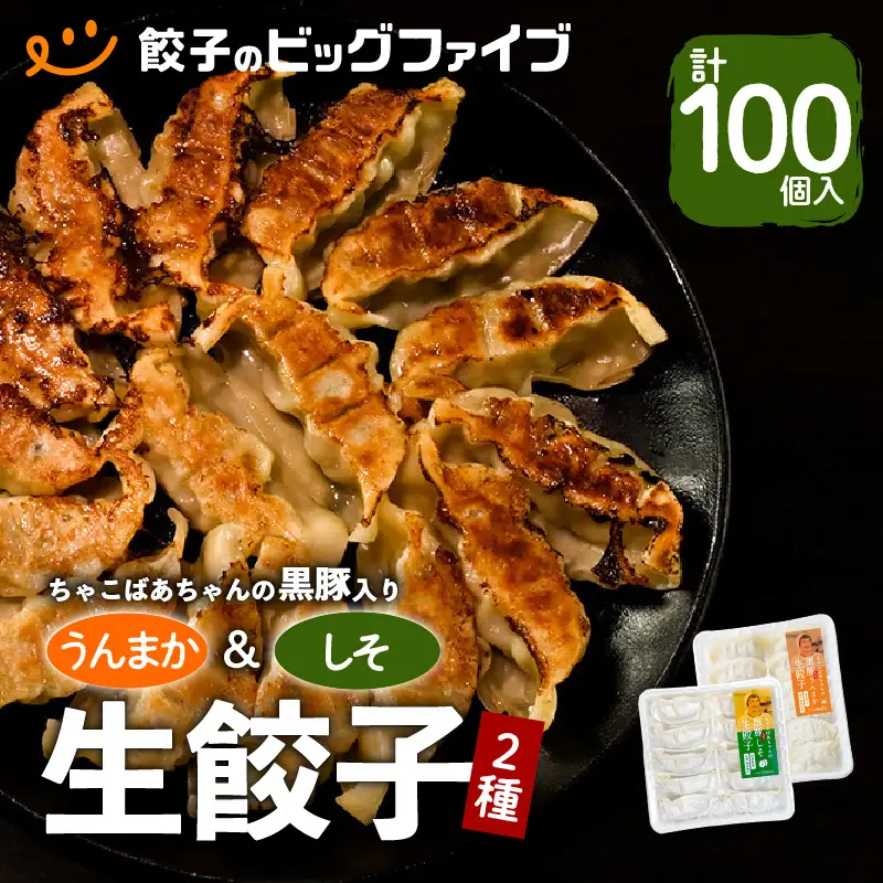 ちゃこばあちゃんの黒豚入りうんまか・しそ生餃子 計100個入り K027-006 肉 豚肉 惣菜 総菜 冷凍