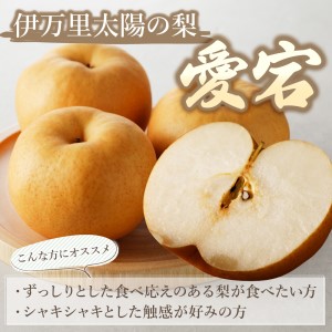 【令和8年産先行予約】伊万里梨 「愛宕」 約5kg 大型種 178-B944