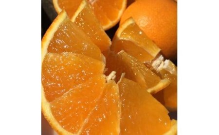 【2026年12月上旬頃から順次発送】 家庭用 あいか 5kg | 愛果 愛果28号 愛媛 みかん 先行予約 蜜柑 柑橘 果物 くだもの フルーツ お取り寄せ グルメ 期間限定 数量限定 人気 おすすめ 愛媛県 松山市 【SU0042】