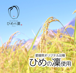 【令和8年度産受付】四国遍路発祥地米 （5kg） |【TK0011】