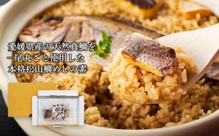 松山鯛めし　（２合タイプ×２回） ごはんのお供【TS044_x】