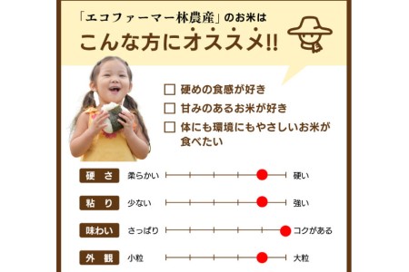 米 無洗米 コシヒカリ 5kg ご飯 ごはん 白米 精米/林農産/富山県 黒部市 お米 こしひかり 