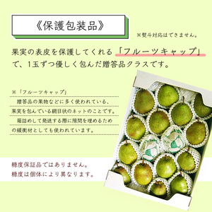 【保護包装品】令和8年産 秀品 洋梨「ラ・フランス」5kg サイズおまかせ 山形県産【2026年10月末頃から12月上旬頃】　019-B-JA006