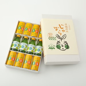 じゃばらドリンク12本セット【njb121】