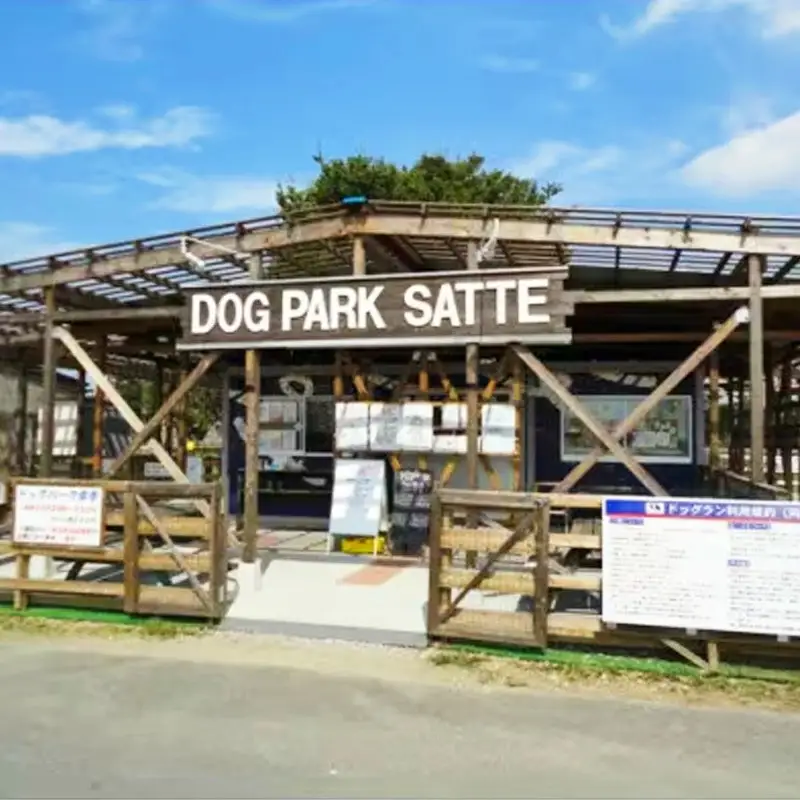 【ドッグパーク幸手】利用回数券 - チケット 回数券 利用回数券 ドッグラン 愛犬 犬 ドッグパーク幸手 ドッグランズウェル 埼玉県 幸手市