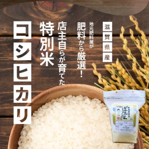 【令和7年度産】肥料屋厳選近江米コシヒカリ２㎏　モリタ肥料店 お米  近江米 DI-0002