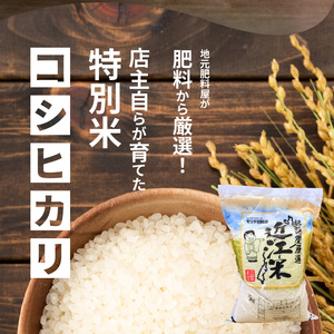 【令和7年度産】肥料屋厳選近江米コシヒカリ５㎏　モリタ肥料店 お米  近江米 DI-0003
