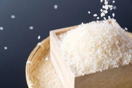 特別栽培米　若桜（わかさ）のお米　コシヒカリ　5kg [133]