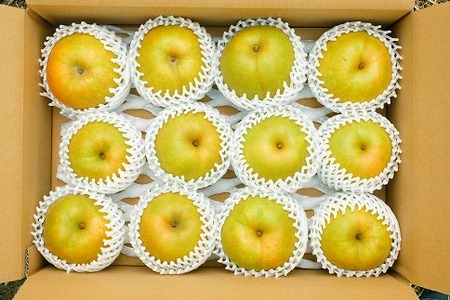 【予約受付中】【産地直送】鳥取県の梨「新甘泉」秀品　５kg　８～１４玉 [145]