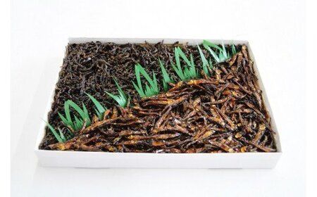 安田のつくだ煮本舗のつくだ煮 若さぎ・ししゃもきくらげ（各185g合計370g）