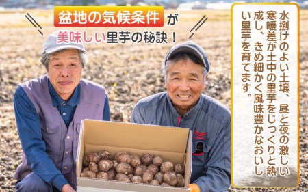 【先行予約】希少！とみた里芋 5kg ねっとりまろやか煮崩れなし！【11月より順次発送】 