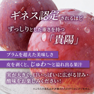 桃 志賀高原 プラム 貴陽 10玉 1.5kg 桃