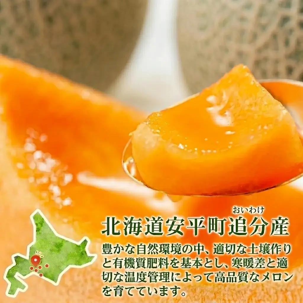 メロン 北海道 追分アサヒメロン〔秀品〕2玉（5玉サイズ）安平町産【1395534】