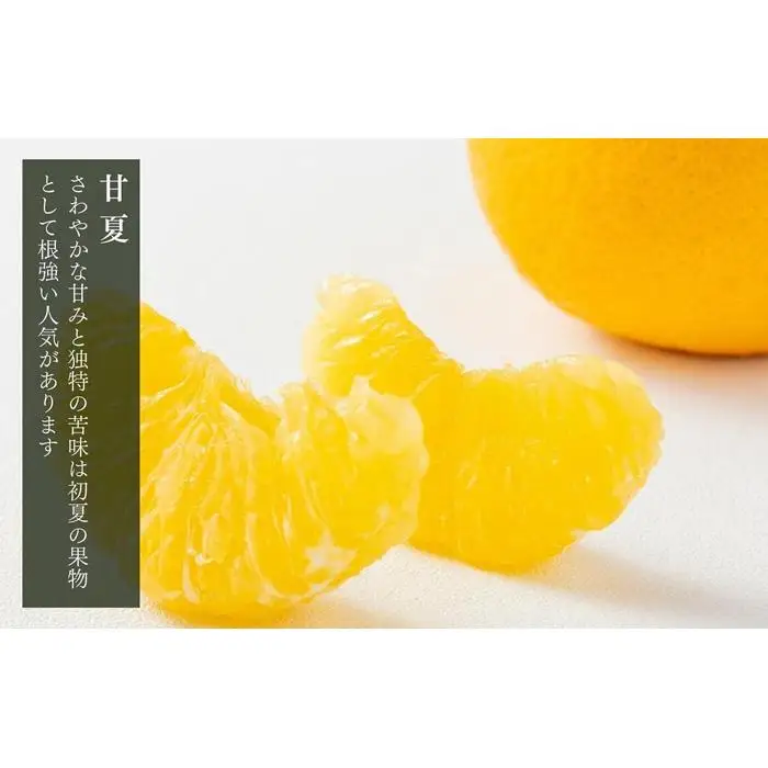 甘夏 玉ぞろい 箱込 5kg ( 内容量約 4.4kg ) 秀品 優品 混合 2L  L M サイズのいずれか 和歌山県 産地直送 ［みかんの会］