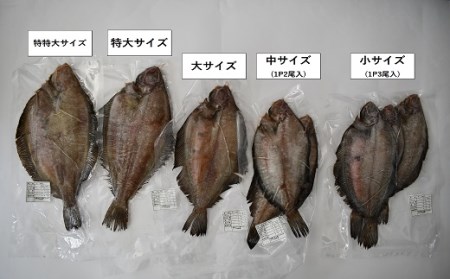 漁協の地魚一夜干し ナメタカレイ 大サイズ(5尾入)[02-1245]