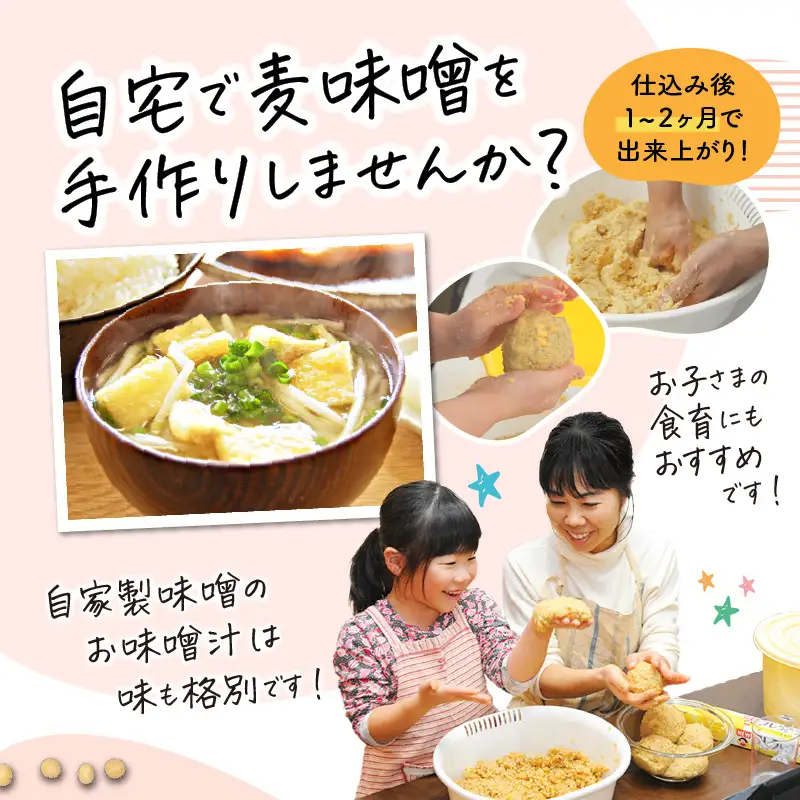 「かねよみそ しょうゆ」麦味噌 手作りキット 3kg K058-004 調味料